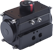 Pneumatic Actuator