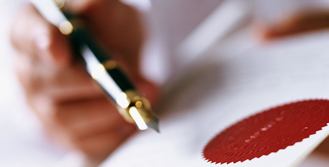 Regulatory & Certification Support